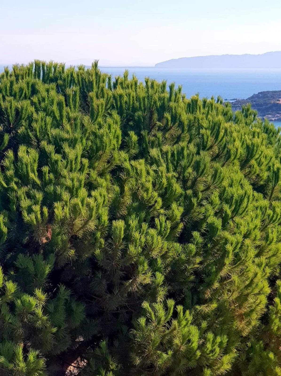 North Wind Hotels - Karaburun Karaburun  Luaran gambar